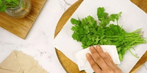 Kako da cilantro ostane svjež duže u frižideru